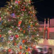 ヒメ日記 2025/12/25 19:04 投稿 星咲セレナ 五十路マダムエクスプレス船橋店(カサブランカグループ)