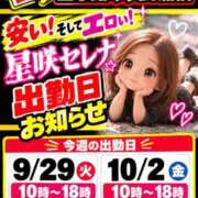 ヒメ日記 2026/09/28 17:42 投稿 星咲セレナ 五十路マダムエクスプレス船橋店(カサブランカグループ)