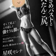 星咲セレナ 久々の出勤。 五十路マダムエクスプレス船橋店(カサブランカグループ)