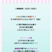 ヒメ日記 2025/09/12 22:31 投稿 あのん 素人系イメージSOAP彼女感大宮館