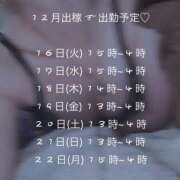 ヒメ日記 2025/12/16 19:32 投稿 うらら IRIS一宮