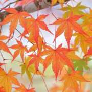 あすか あすか（スピード梅田店） スピード梅田店