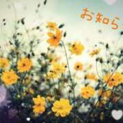 ヒメ日記 2026/01/29 11:16 投稿 さら 埼玉熊谷ちゃんこ