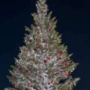 ヒメ日記 2025/12/04 21:13 投稿 みれい 萌えカワ