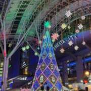 ヒメ日記 2025/12/23 23:02 投稿 みれい 萌えカワ