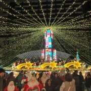 ヒメ日記 2025/12/29 00:02 投稿 みれい 萌えカワ