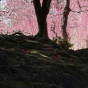 ヒメ日記 2026/03/03 14:31 投稿 みれい 萌えカワ