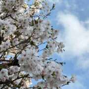 ヒメ日記 2026/03/28 22:42 投稿 みれい 萌えカワ