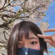 ヒメ日記 2026/04/02 15:22 投稿 みれい 萌えカワ