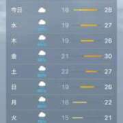 ヒメ日記 2026/06/16 07:05 投稿 みれい 萌えカワ