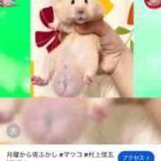 ヒメ日記 2026/08/26 18:10 投稿 みれい 萌えカワ