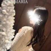 星羽【セイハ】 励みになっています💓 club MARIA(大阪)