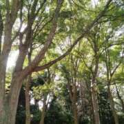 ヒメ日記 2025/09/11 16:16 投稿 地元/にこ セレブクエスト－Iwaki－