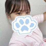 ヒメ日記 2025/09/24 10:49 投稿 かお 札幌しこたまクリニック