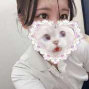 かお 3月10日〜いるよー！ 札幌しこたまクリニック