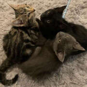 ヒメ日記 2026/04/12 16:38 投稿 ちか TSUBAKI（水戸）