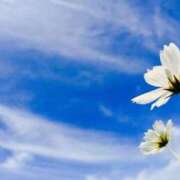 静 出勤します♪ 東京人妻フォーシーズンズ