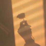 ヒメ日記 2025/09/28 04:06 投稿 ◆ありす◆ 広島超性感マッサージ倶楽部 マル秘世界