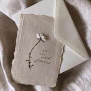 ヒメ日記 2025/11/22 00:22 投稿 ◆ありす◆ 広島超性感マッサージ倶楽部 マル秘世界