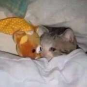 ヒメ日記 2025/10/05 20:53 投稿 ゆう コスプレアカデミー