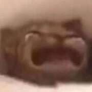 ヒメ日記 2025/10/20 13:03 投稿 ゆう コスプレアカデミー