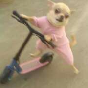 ゆう 【悲報】忘れました コスプレアカデミー