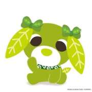 ヒメ日記 2025/12/13 09:50 投稿 アロマ ソープランドMAX‐マックス- 浅草店