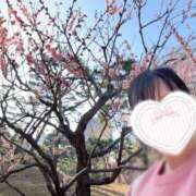 アロマ 連休明けおつかれさまです💕 ソープランドMAX‐マックス- 浅草店