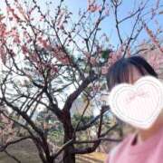 アロマ 昼飲みで浅草屋台へ🌸🍻 ソープランドMAX‐マックス- 浅草店