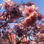 ヒメ日記 2026/04/07 09:41 投稿 アロマ ソープランドMAX‐マックス-