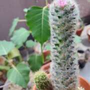 ヒメ日記 2025/08/17 14:15 投稿 夏 人妻風俗チャンネル