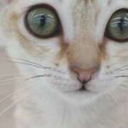 ヒメ日記 2025/09/28 18:36 投稿 夏 人妻風俗チャンネル