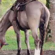 ヒメ日記 2025/10/14 12:52 投稿 夏 人妻風俗チャンネル