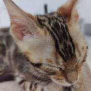 ヒメ日記 2025/11/07 21:07 投稿 夏 人妻風俗チャンネル