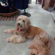 夏 人妻風俗チャンネル（鶯谷/デリヘル）