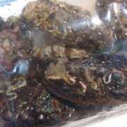 ヒメ日記 2025/12/31 15:08 投稿 夏 人妻風俗チャンネル