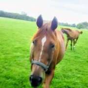 ヒメ日記 2026/01/01 00:42 投稿 夏 人妻風俗チャンネル