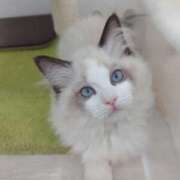 ヒメ日記 2026/03/16 20:13 投稿 夏 人妻風俗チャンネル