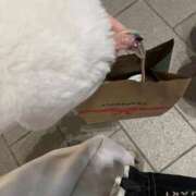 ヒメ日記 2025/12/15 14:26 投稿 乙姫 みゆ 制服×コスプレ アオハルスイッチ