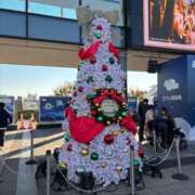 ヒメ日記 2025/12/08 22:39 投稿 まこ MINT（ミント）