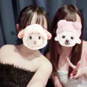 まこ 🍻 MINT（ミント）