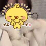 ヒメ日記 2025/12/28 21:23 投稿 まこ MINT（ミント）