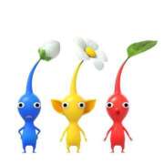 ヒメ日記 2026/01/28 00:21 投稿 桜井　もか ピンクダイア