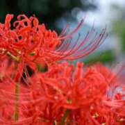 ヒメ日記 2025/10/02 15:52 投稿 あん 梅田アバンチュール