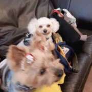 ヒメ日記 2025/08/22 08:39 投稿 まお 熟女の風俗最終章 錦糸町店