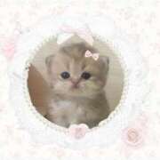 ヒメ日記 2025/08/16 07:50 投稿 はづき わちゃわちゃ密着リアルフルーちゅ西船橋