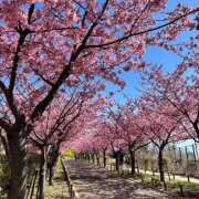 ヒメ日記 2025/08/21 16:20 投稿 はづき わちゃわちゃ密着リアルフルーちゅ西船橋