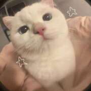 ヒメ日記 2025/08/21 22:20 投稿 はづき わちゃわちゃ密着リアルフルーちゅ西船橋