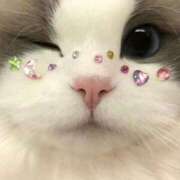 ヒメ日記 2025/08/24 11:30 投稿 はづき わちゃわちゃ密着リアルフルーちゅ西船橋