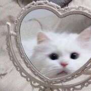 ヒメ日記 2025/09/07 10:20 投稿 はづき わちゃわちゃ密着リアルフルーちゅ西船橋